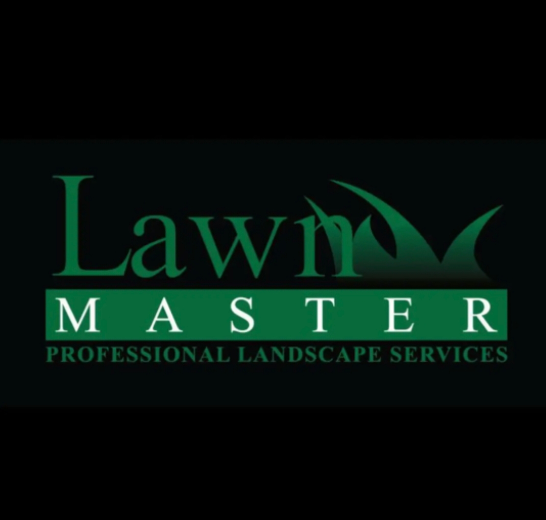 Image Alternative text