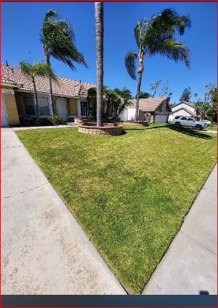 Electric Cuts Lawn Service, LLC