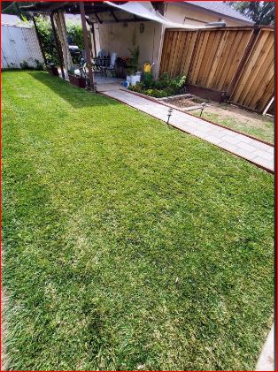 Electric Cuts Lawn Service, LLC