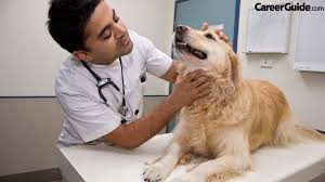 San Francisco SPCA Veterinary Hospital