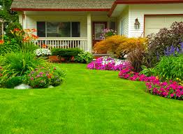 Gabriel´s Tree Service And Landscaping