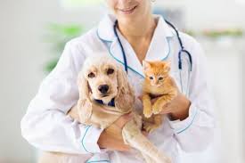 VCA Aacacia Animal Hospital