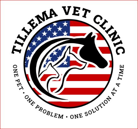 Tillema Veterinary Clinic